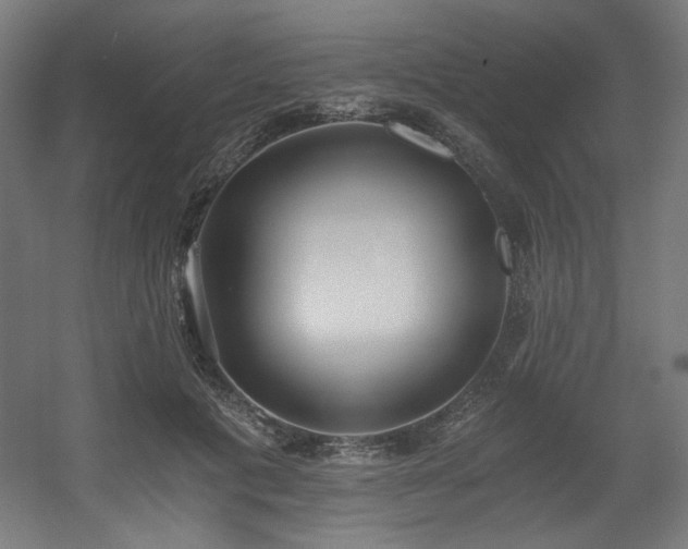 X0000056360601200508291346