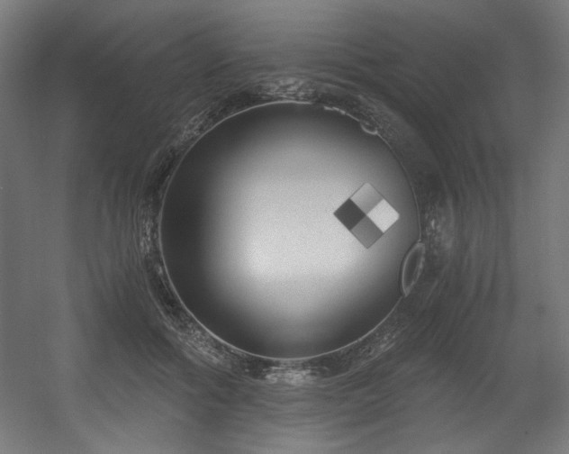 X0000056360602200508291346