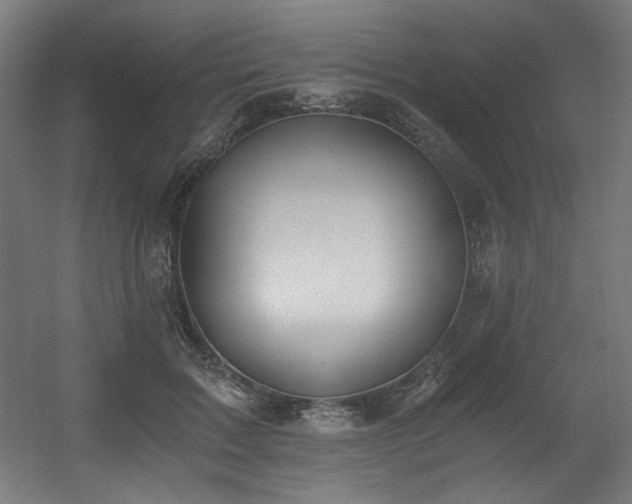 X0000056360603200508291346