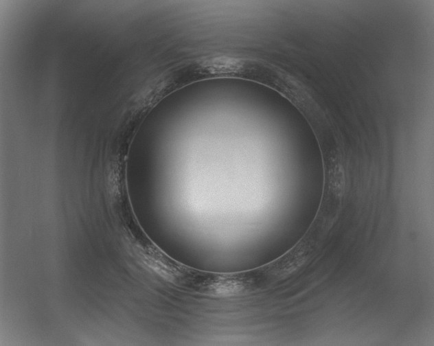 X0000056360604200508291346