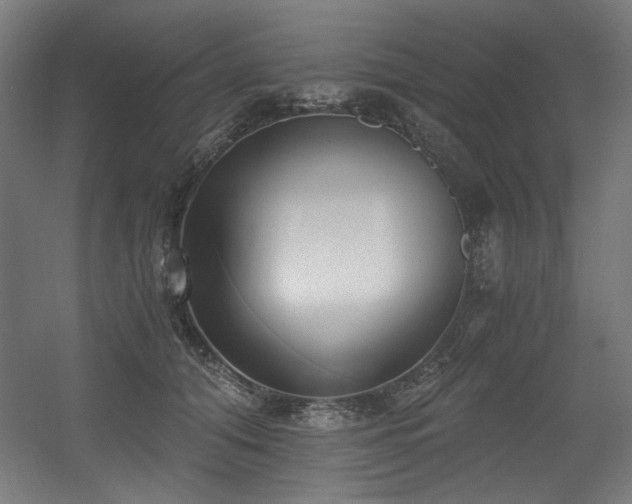 X0000056360608200508291346