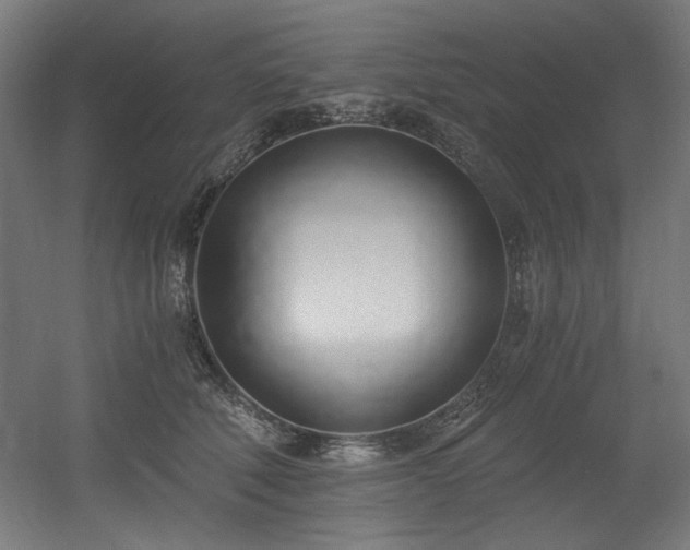 X0000056360610200508291346