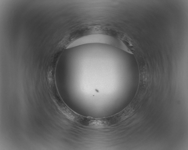 X0000056360611200508291346