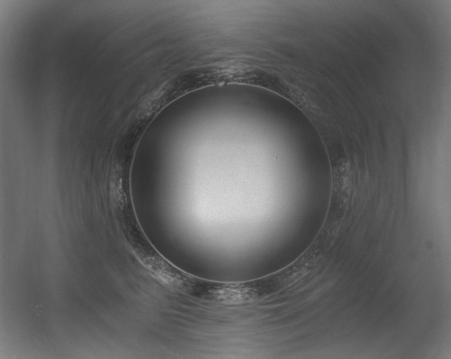 X0000056360615200508291346