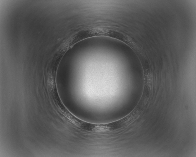 X0000056360617200508291346