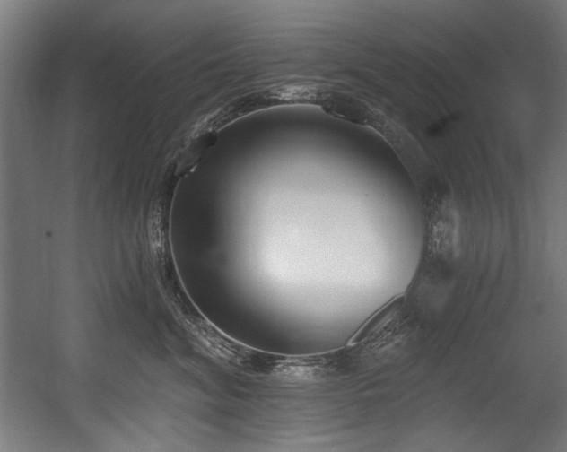 X0000056360620200508291346