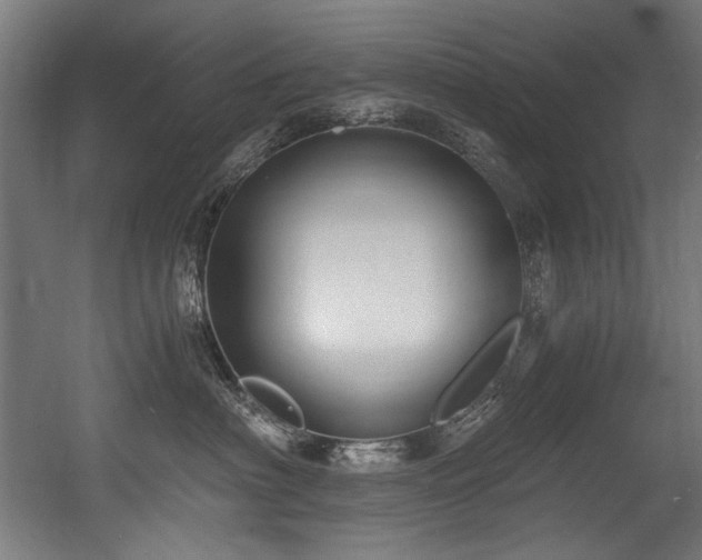 X0000056360622200508291346