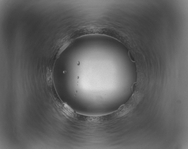 X0000056360624200508291346