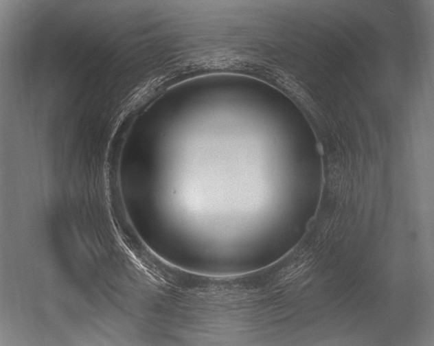 X0000056360626200508291345