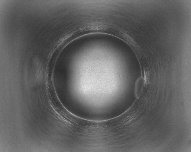 X0000056360627200508291345