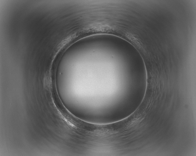 X0000056360630200508291345