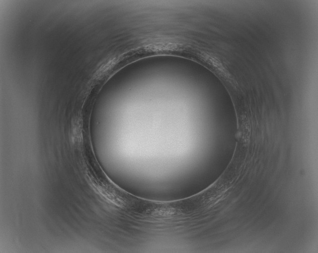 X0000056360631200508291345