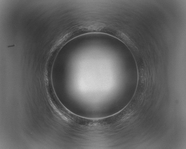 X0000056360634200508291345