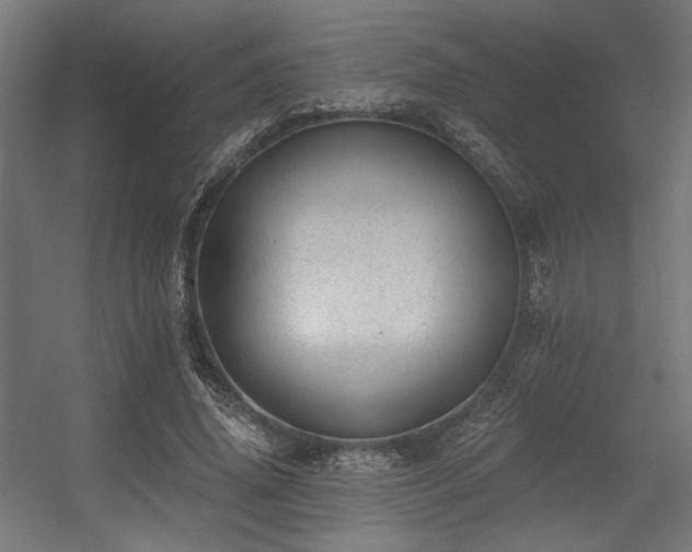 X0000056360636200508291345