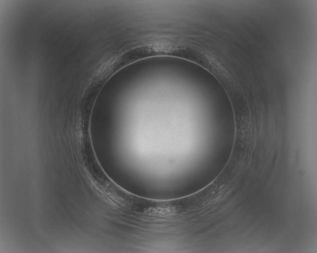 X0000056360639200508291345