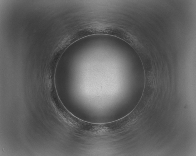 X0000056360642200508291345