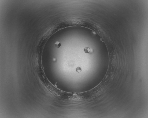 X0000056360643200508291345