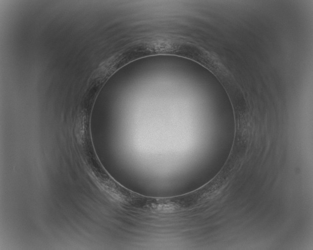 X0000056360645200508291345