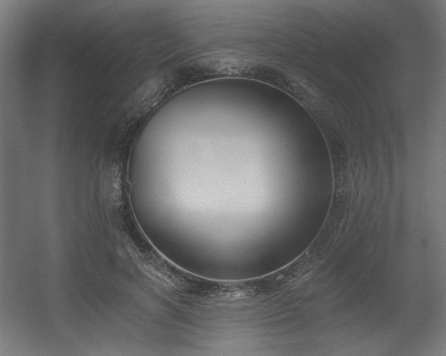 X0000056360646200508291345