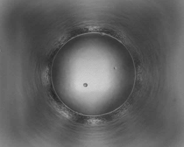 X0000056360650200508291345