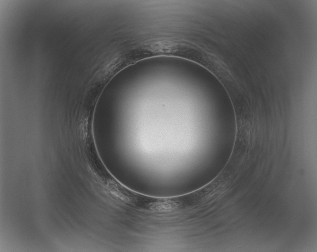 X0000056360652200508291345