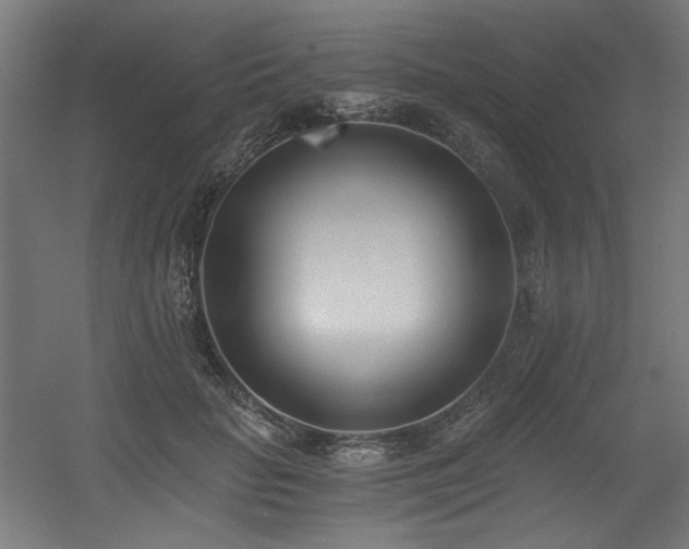 X0000056360653200508291345