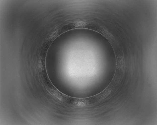 X0000056360655200508291345