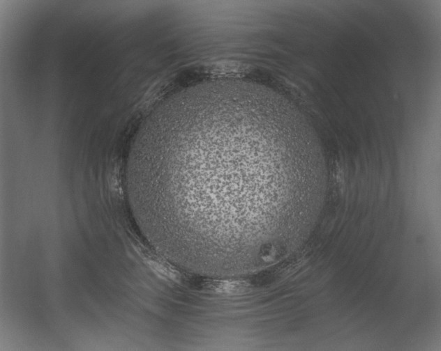 X0000056360663200508291346
