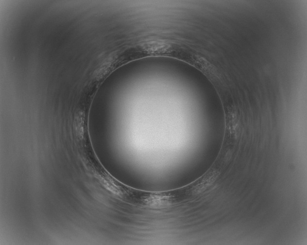 X0000056360664200508291346