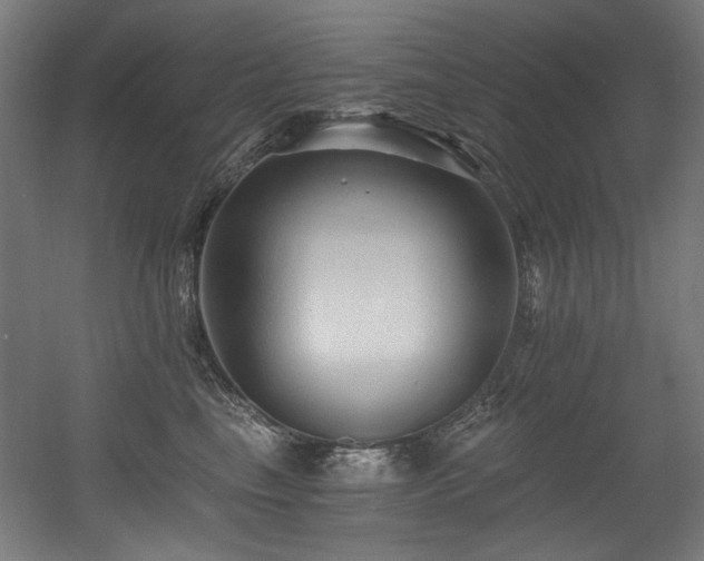 X0000056360665200508291346