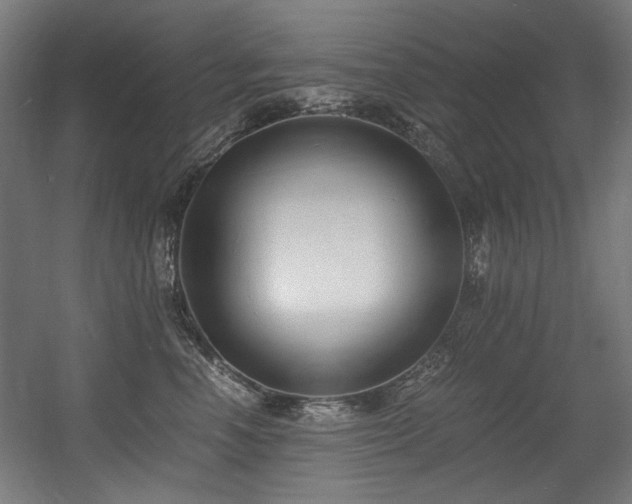 X0000056360666200508291346