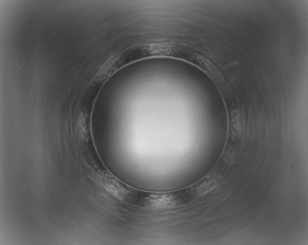 X0000056360667200508291346