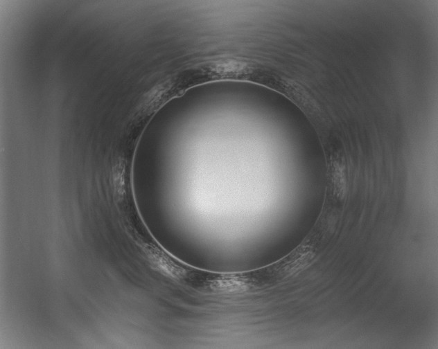 X0000056360668200508291346