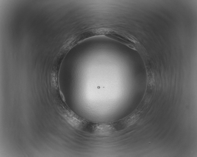 X0000056360669200508291346