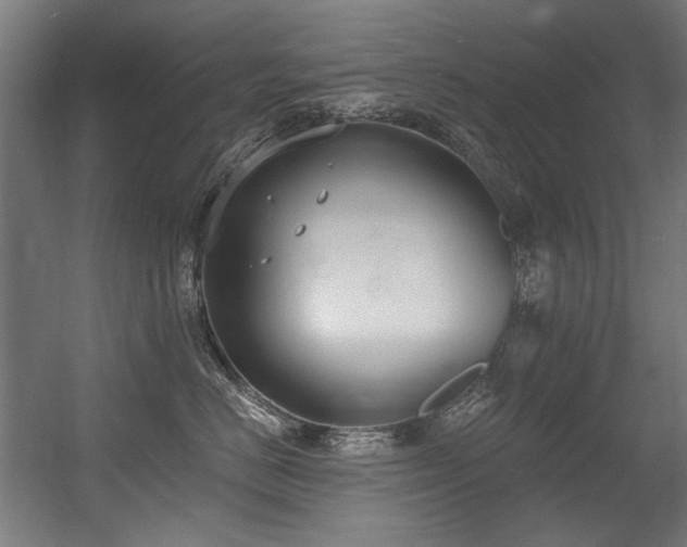 X0000056360670200508291346