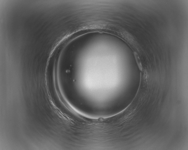 X0000056360676200508291345