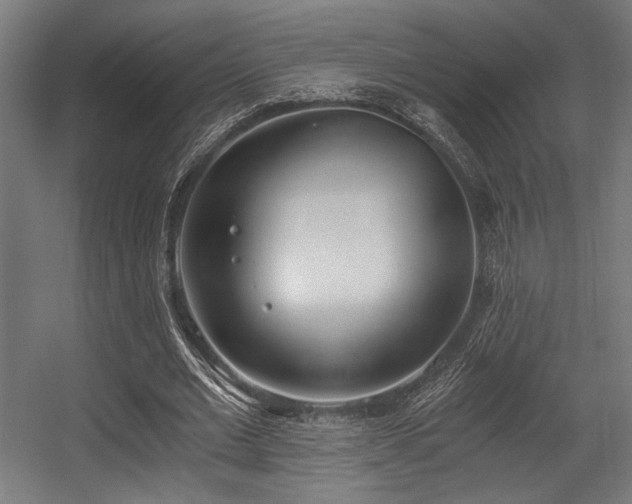 X0000056360677200508291345