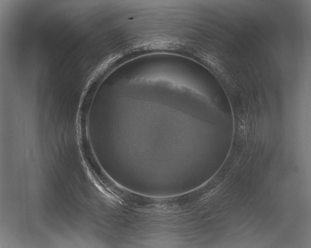 X0000056360678200508291345