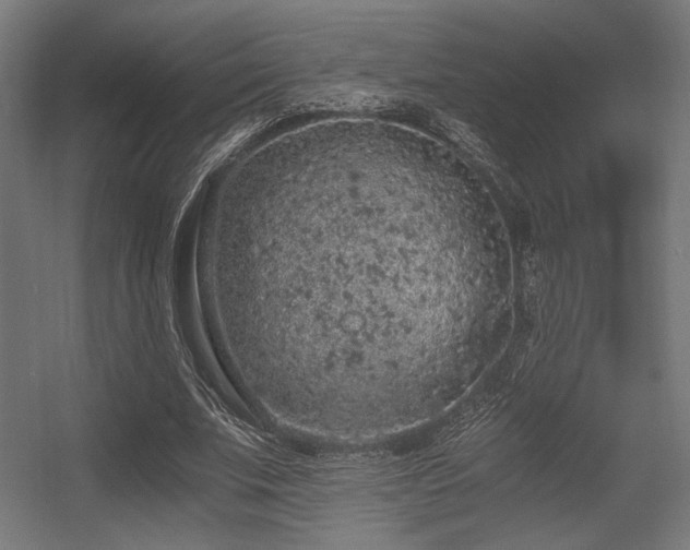 X0000056360679200508291345