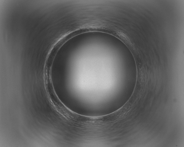 X0000056360680200508291345