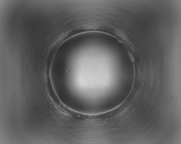 X0000056360681200508291345