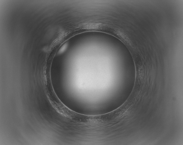 X0000056360682200508291345