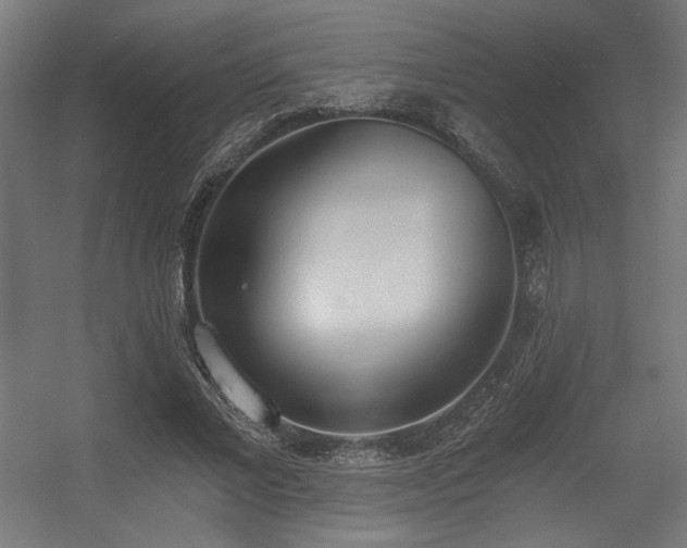 X0000056360685200508291345