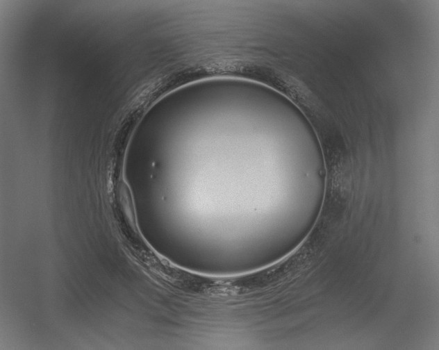 X0000056360687200508291345