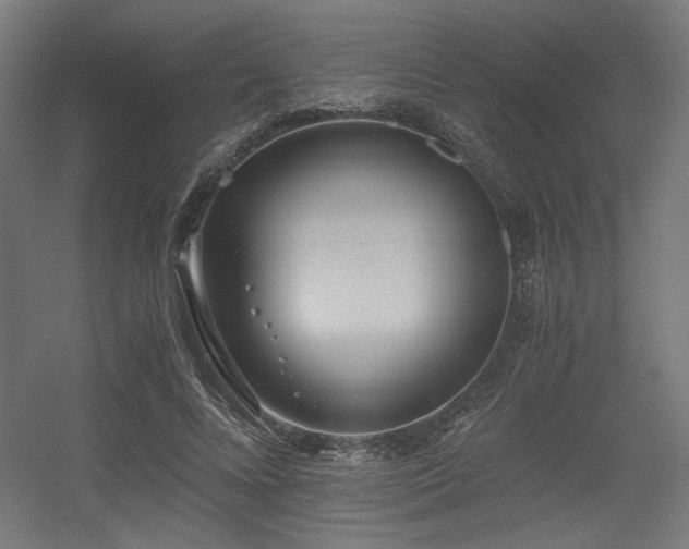 X0000056360688200508291345