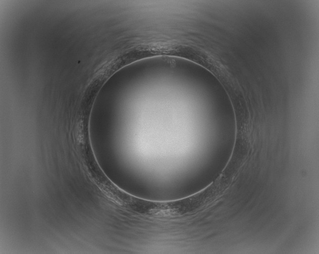 X0000056360689200508291345