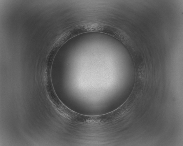 X0000056360690200508291345