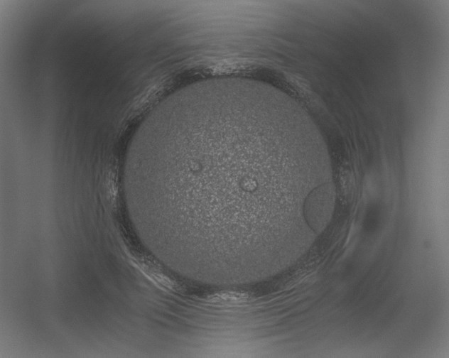 X0000056360691200508291345