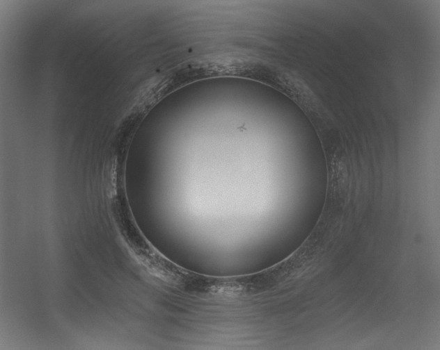 X0000056360694200508291345