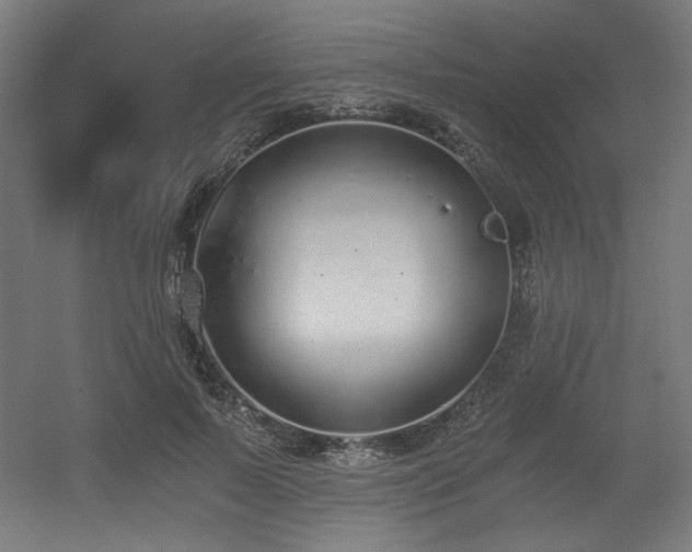 X0000056360695200508291345